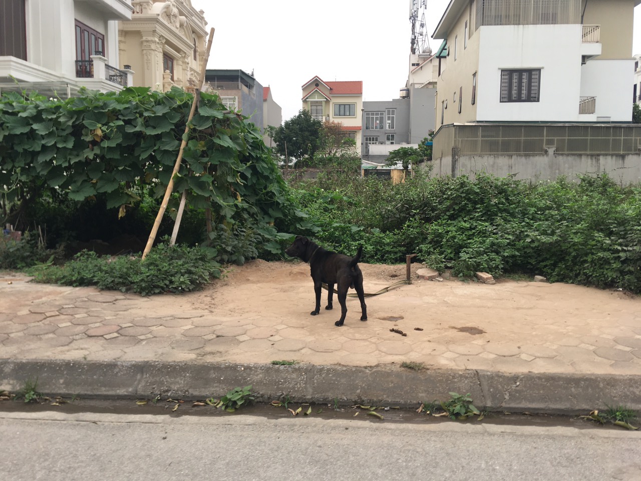 Ban 54m dat khu quay ton thuong binh