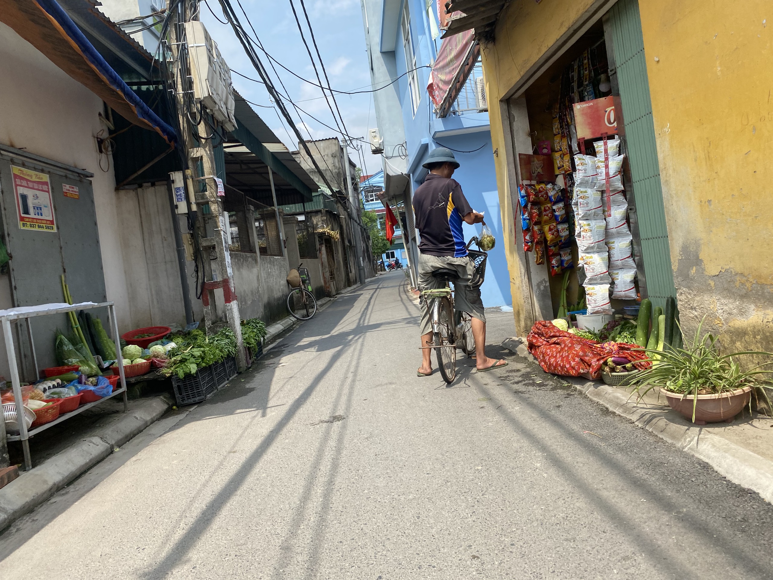 Ban dat ngo hoa binh cu khoi